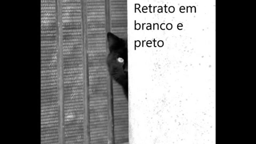Retrato em branco e preto